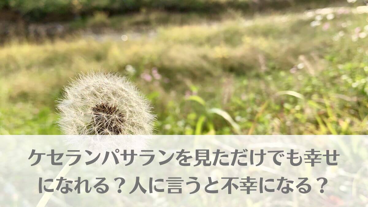 「ケセランパサランを見ただででも幸せになれる？人に言うと不幸になる？」のイメージ画像