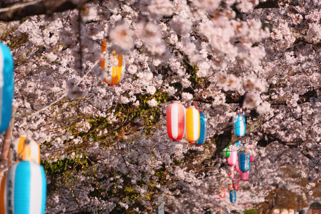 「桜の木の下でお花見している」イメージ画像