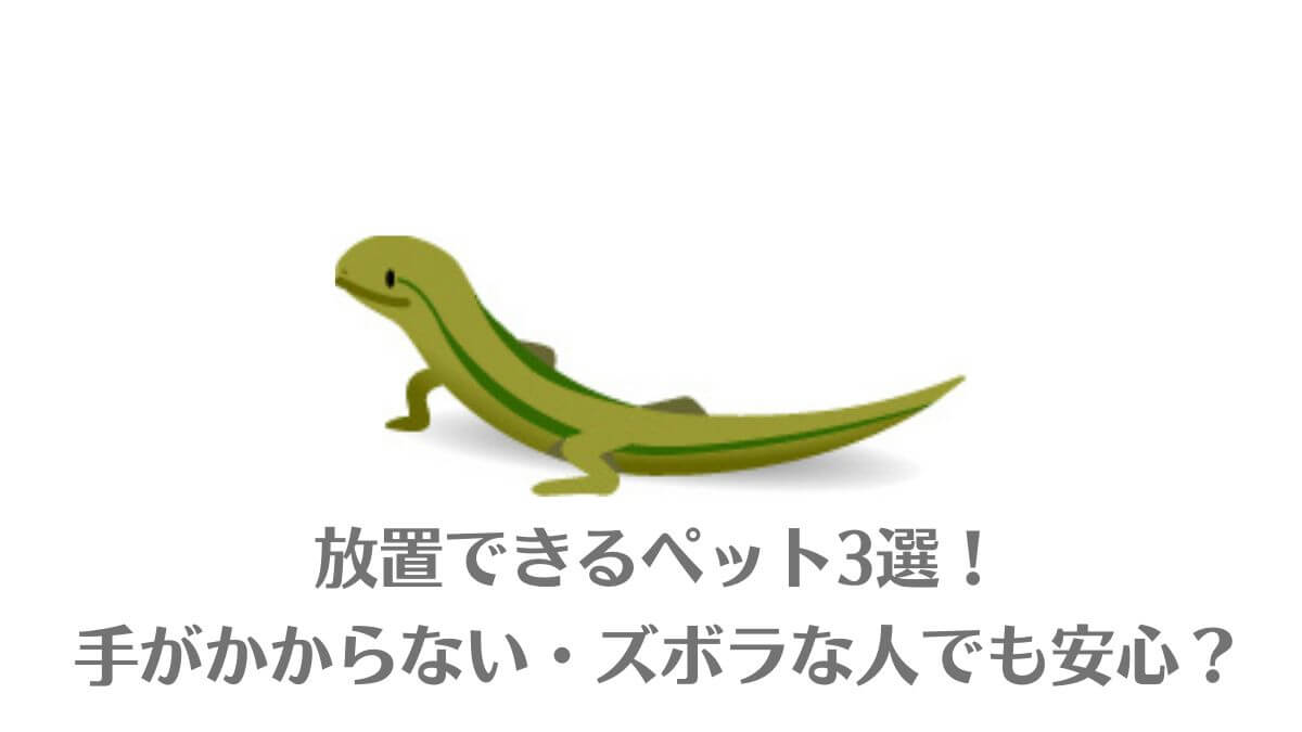 「放置できるペット3選！手がかからない・ズボラな人でも安心？」のイメージ画像