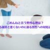 「ごめんねと言う男性心理は？好意ある謝罪と悪くないのに謝る男性への対処法も解説」アイキャッチ画像